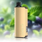 ALIBARBAR INGOT 9000 Puffs Blueberry Mint