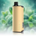 ALIBARBAR INGOT 9000 Puffs Cool Mint
