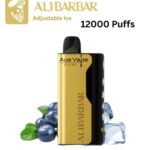 ALIBARBAR ICE ADJUST – BLUEBERRY BLAST – 12000 PUFFS