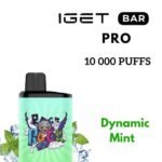 IGET BAR PRO – DYNAMIC MINT – 10 000 PUFFS